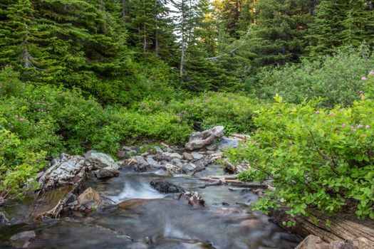 Long exposure shot of a mountain creek.