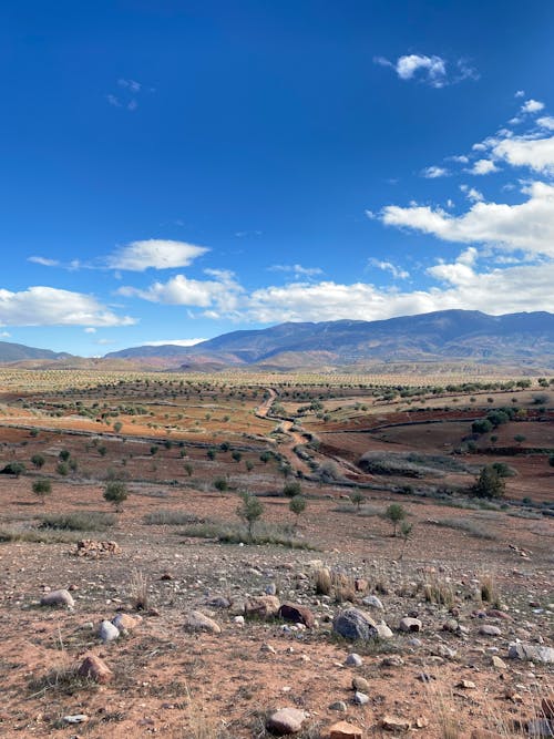 Arid Prairie in Countryside