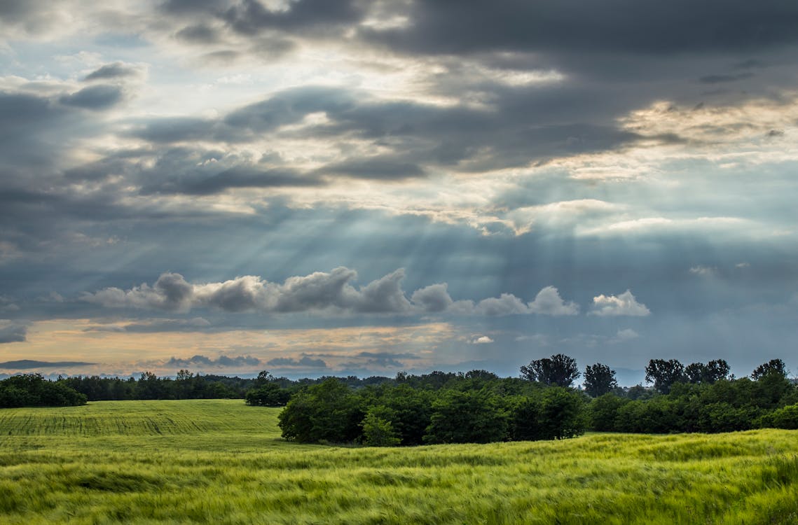 Ingyenes stockfotó ég, fák, felhők témában Stockfotó