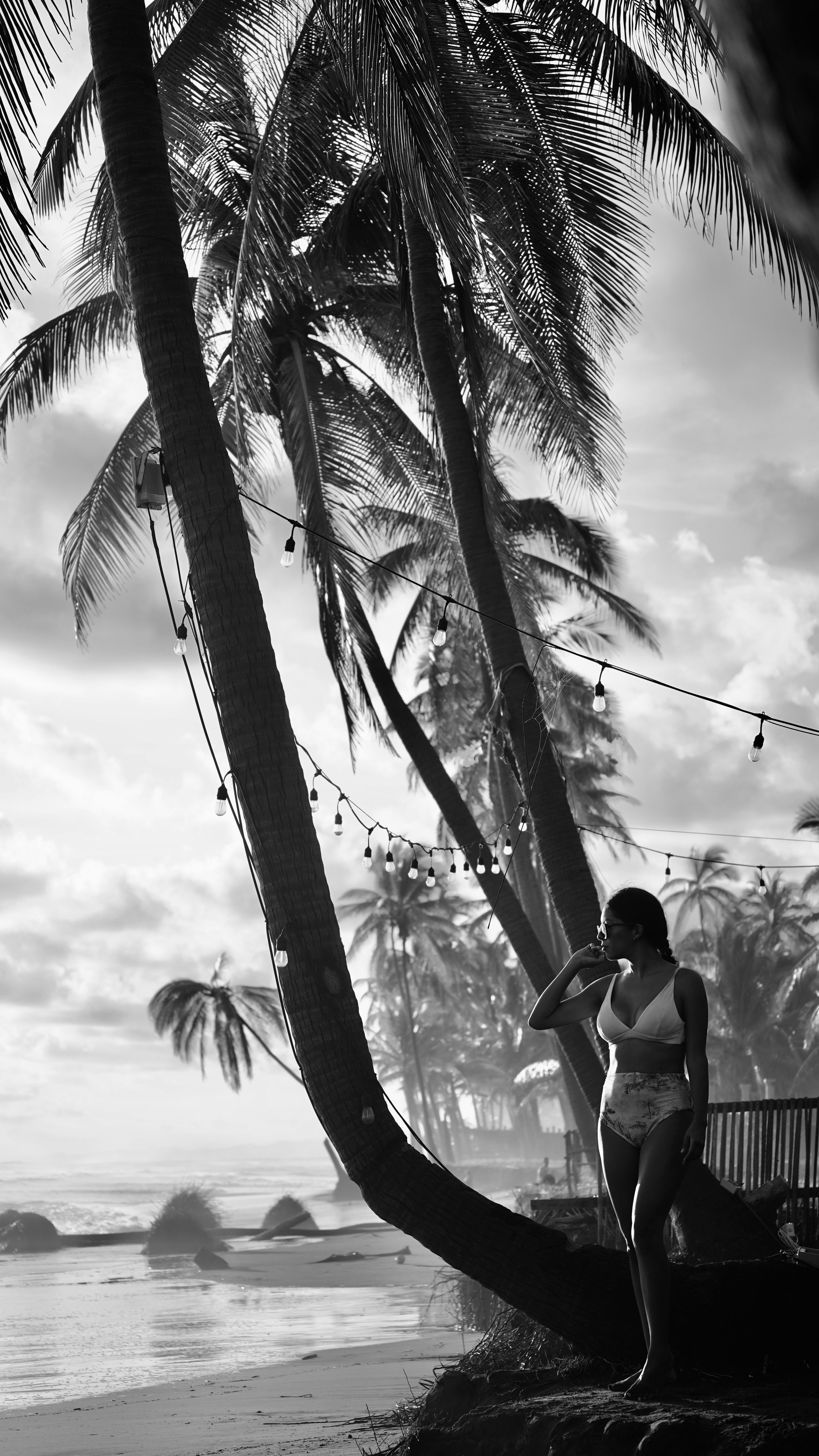 A serene black and white beach scene features palm trees and a woman in swimwear, embodying tropical paradise.