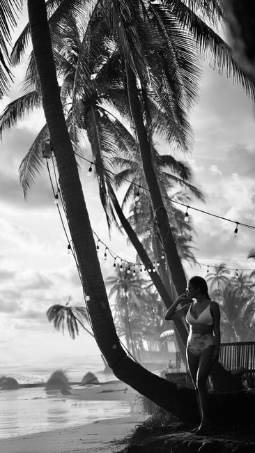 A serene black and white beach scene features palm trees and a woman in swimwear, embodying tropical paradise.