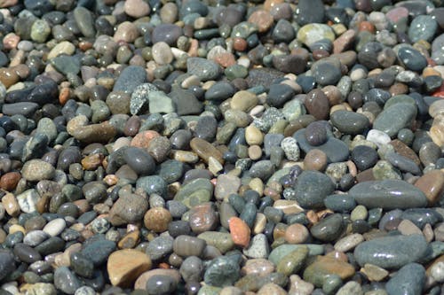 Free stock photo of background, beach