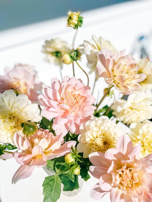 Bouquet of Dahlias