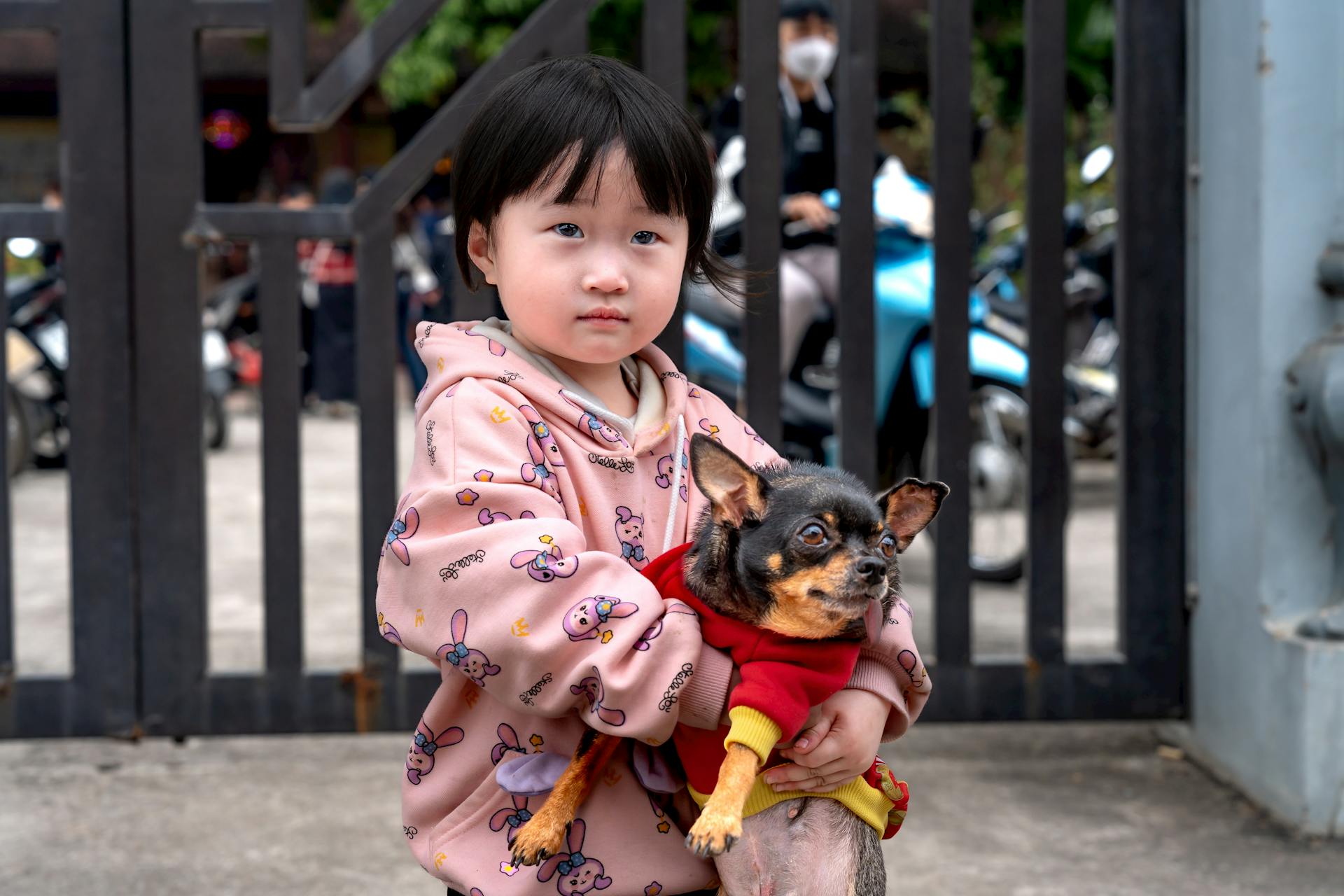 Girl with Chihuahua Dog