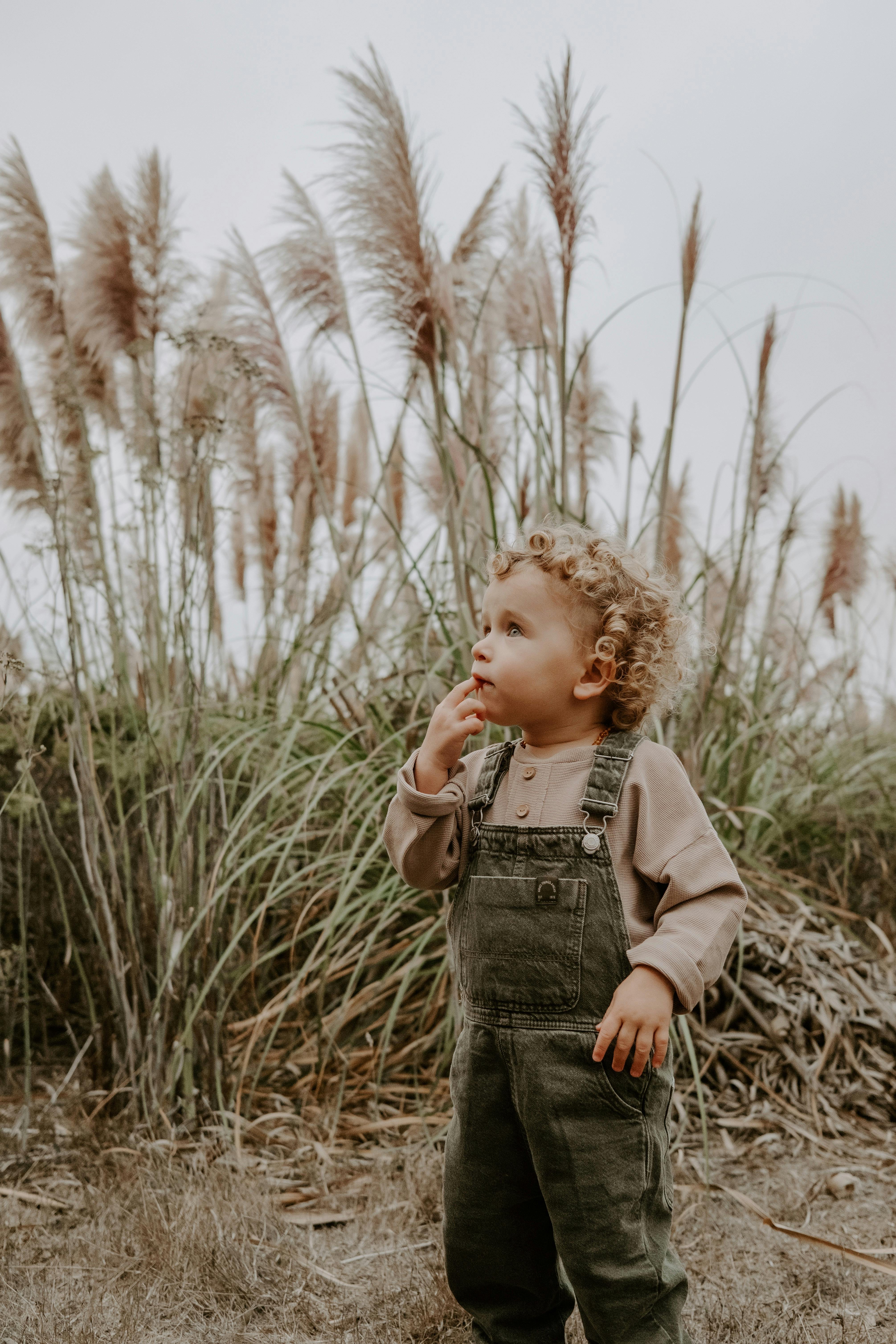 A young child with curly hair stands in nature, surrounded by tall pampas grass.