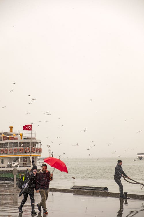 Couple with Umbrella During Rain Walking in Port