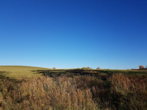 Kostnadsfri bild av blå, blå himmel, höstfärger