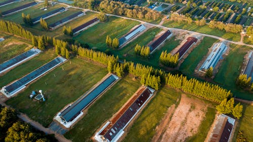 Základová fotografie zdarma na téma denní světlo, farma, hřiště