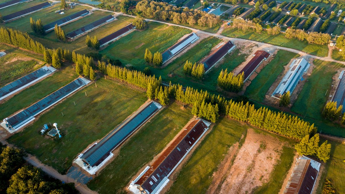 Illustrative aerial photograph of agricultural facilities