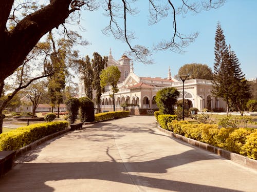 Foto profissional grátis de alameda, árvores, castelo