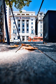 秋叶飘落在人行道上，低角度展现上海黄浦区历史悠久的工商银行大楼