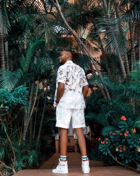 Stylish man in summer outfit stands among lush tropical foliage. Captivating back view fashion shot.