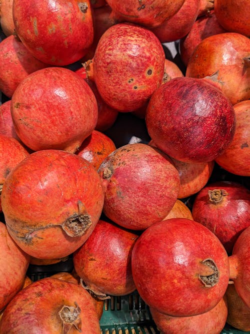 Close up of Pomegranates