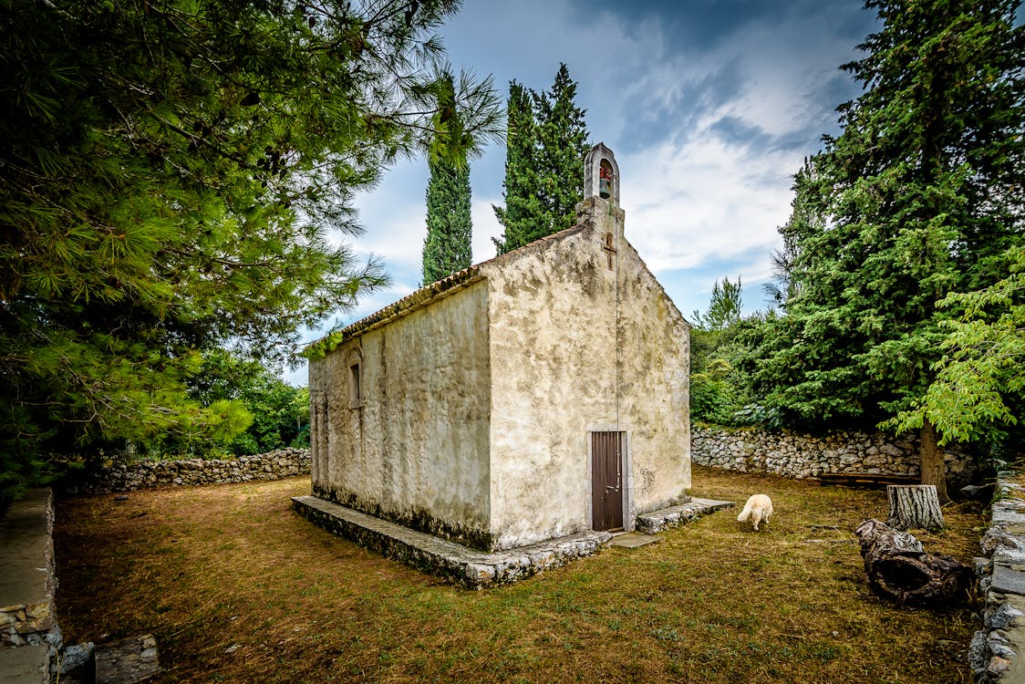 Free stock photo of adriatic island, lone dog, old church Stock Photo