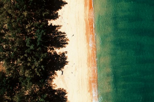 Stunning aerial view of a tropical beach, vibrant sea, and lush tree line perfect for travel and nature enthusiasts.