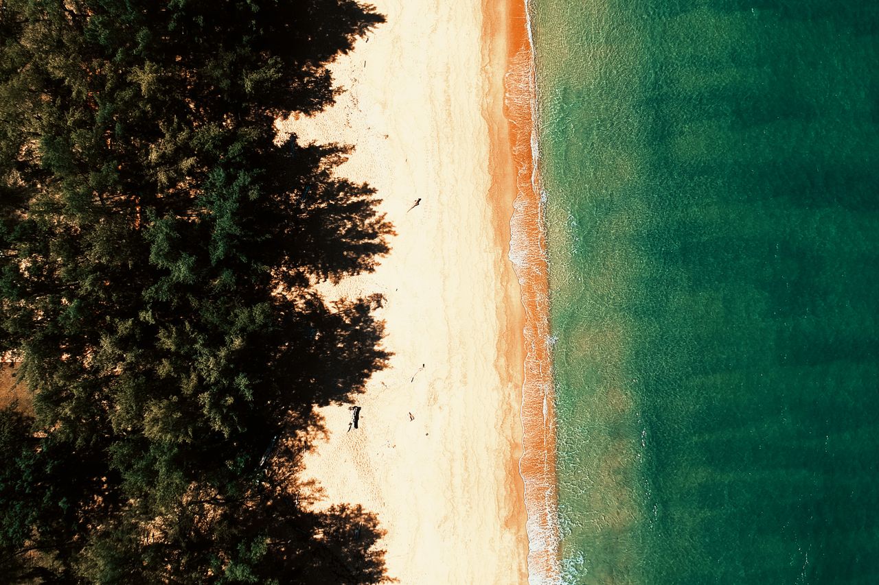 stunning aerial view of a tropical beach vibrant sea and lush tree lin