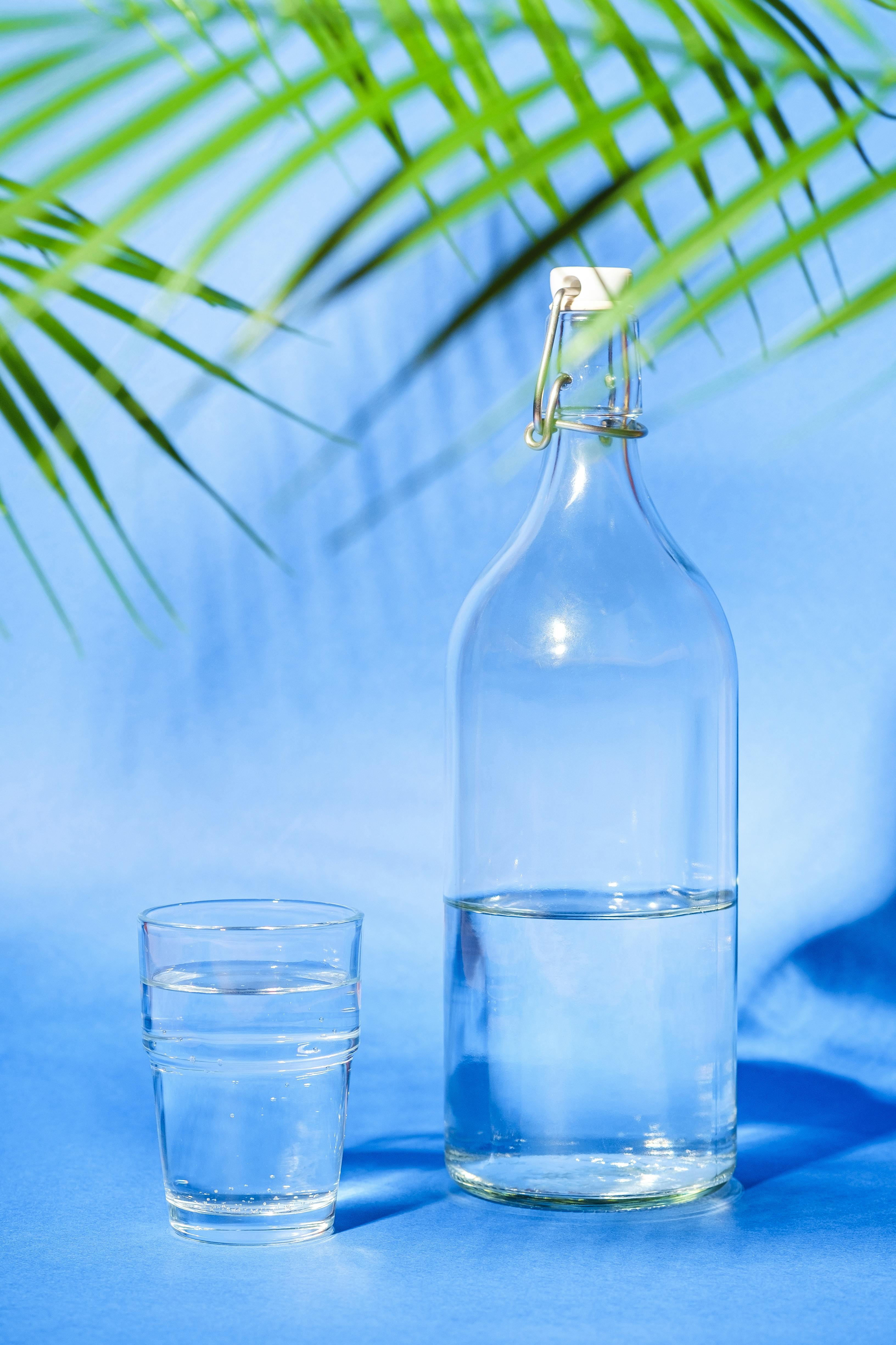 Glass bottle and water glass on blue backdrop with palm leaves.