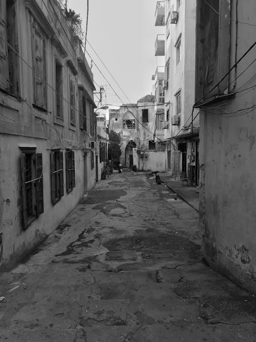 Black and White Photo of an Alley 