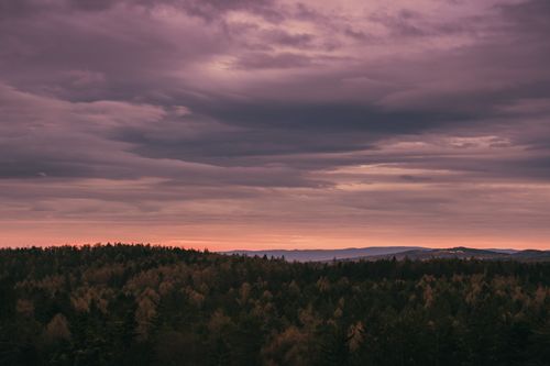 Free A stunning aerial shot of a forest under a dramatic pink sky at sunset. Stock Photo
