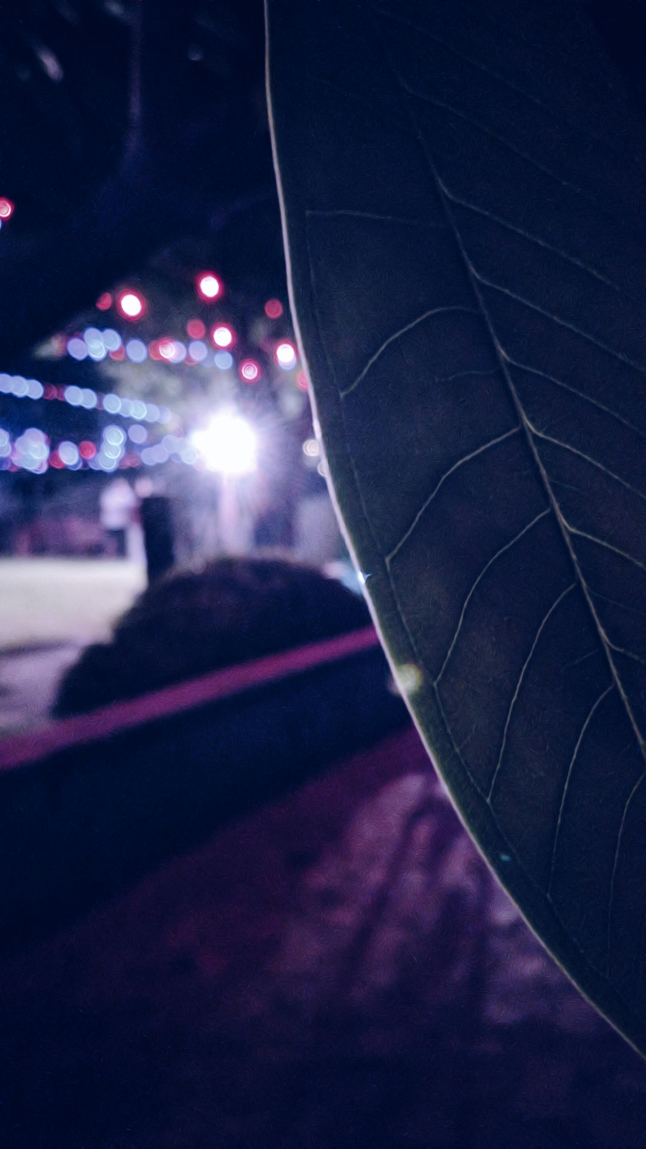 Free Stock Photo Of Big Leaf Blurred Background Blurred Lights