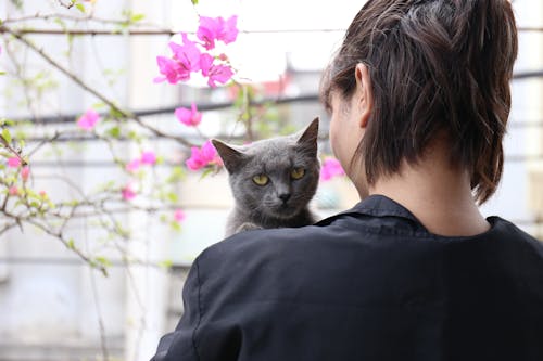 Woman Holding Cat