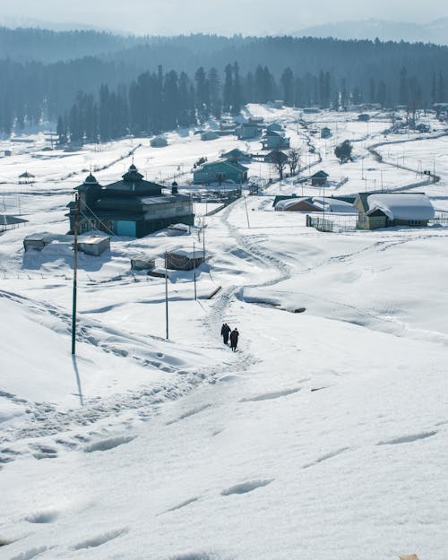 Fotos de stock gratuitas de bajar, camino, cubierto de nieve