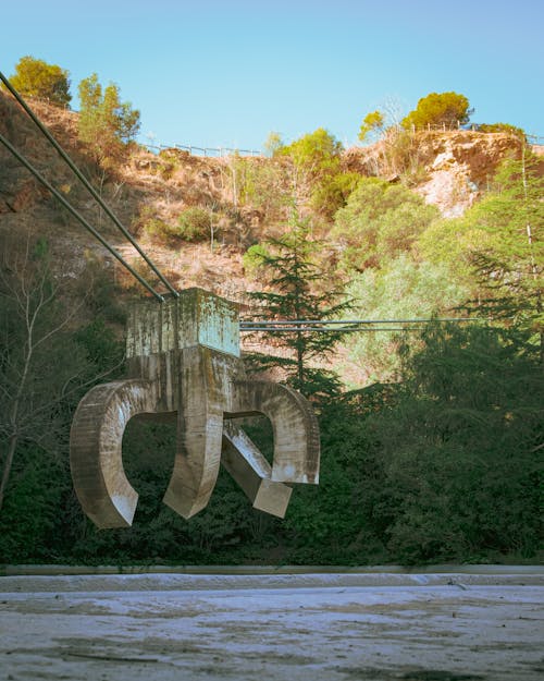 Foto d'estoc gratuïta de art, barcelona, bosc