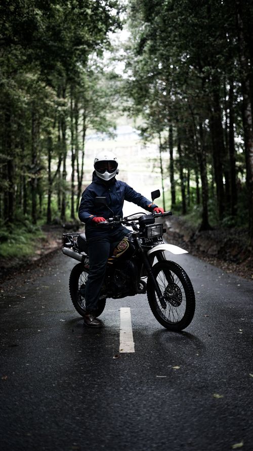 Free A biker with safety gear rides a motorcycle through a forested path. Stock Photo