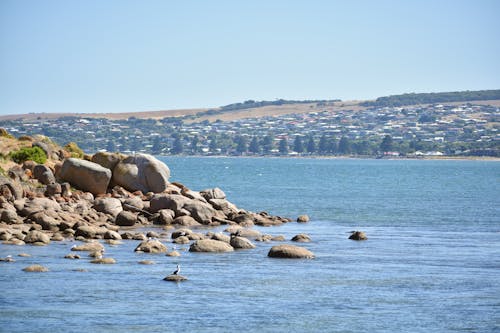 Foto profissional grátis de 24 megapixels, à beira-mar, adelaide