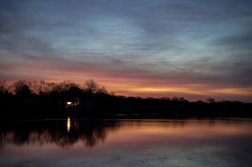 Gratis stockfoto met avond, bomen, Bos