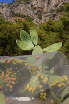 Image by Gülru Sude