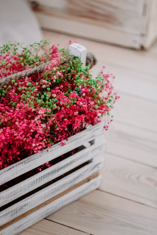 Foto d'estoc gratuïta de caixa de flors, flors vermelles, interior