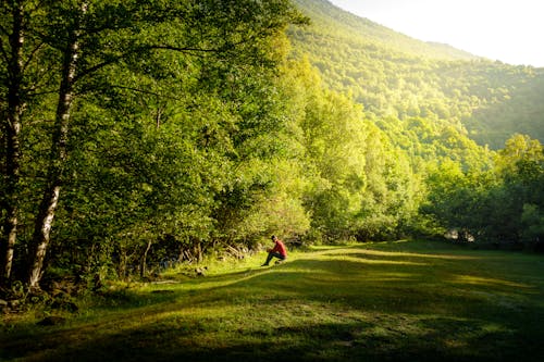 Man Sitting on a Meadow Surrounded with Green Trees in a Valley