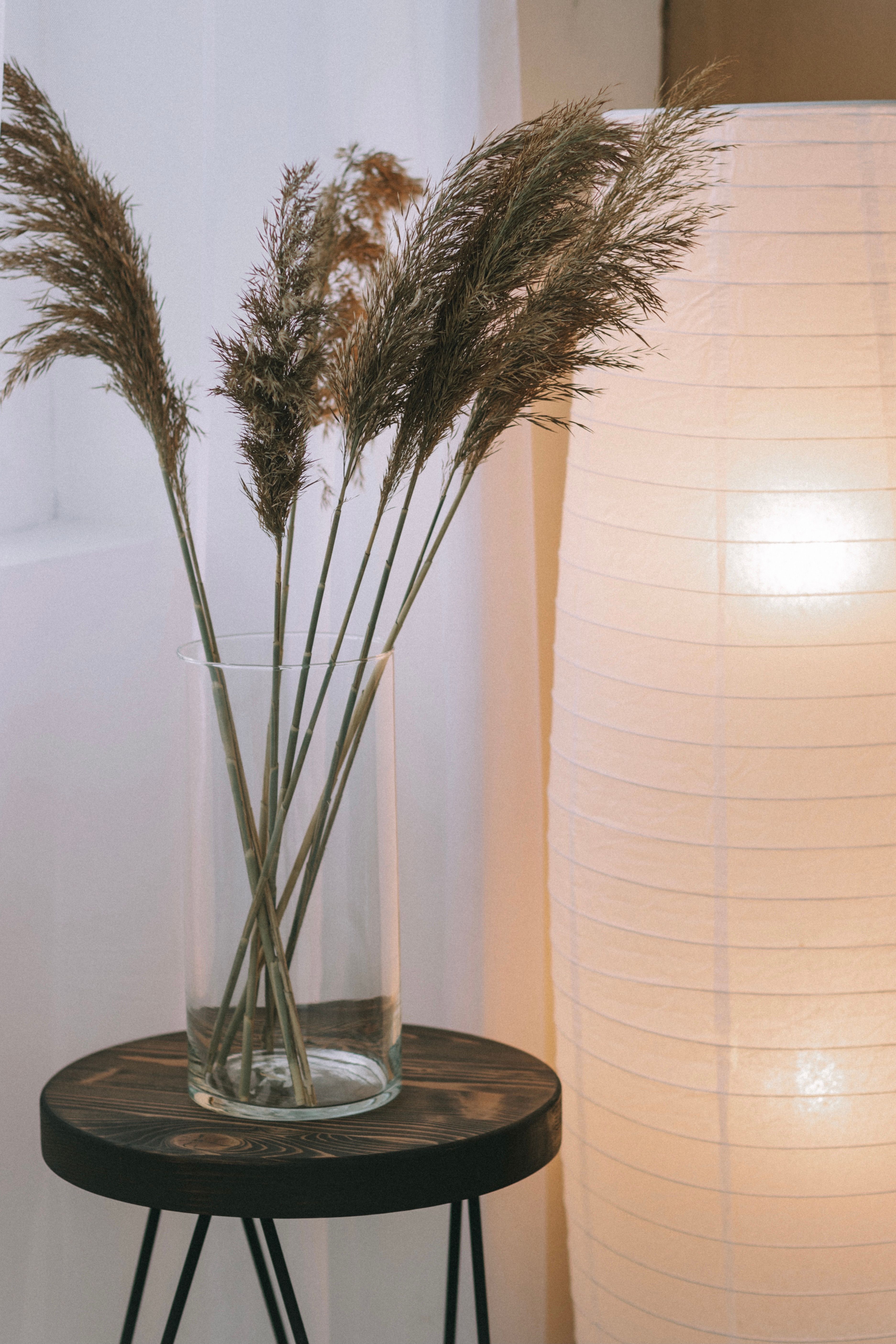 Photo of Dried Reed in a White Vase · Free Stock Photo