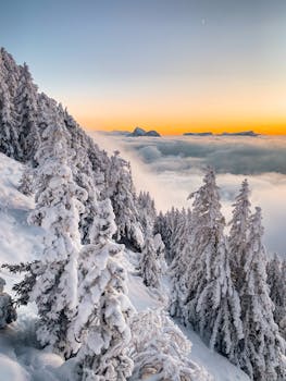Breathtaking view of icy mountains and snowy forest at sunset above the clouds.