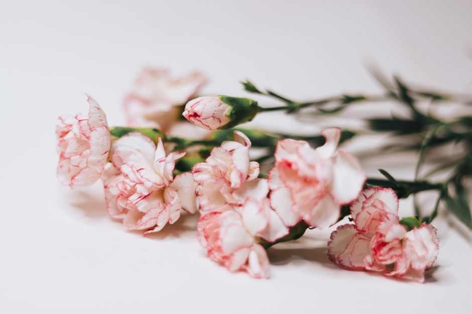 Soft pink and white bouquet for a first Mother's Day gift