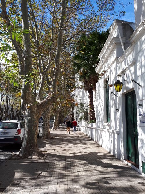 Free Charming urban sidewalk lined with trees and pedestrians on a sunny day. Stock Photo