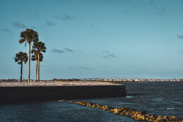 Photo by Gagan Kaur on Pexels Photo by Gagan Kaur on Pexels