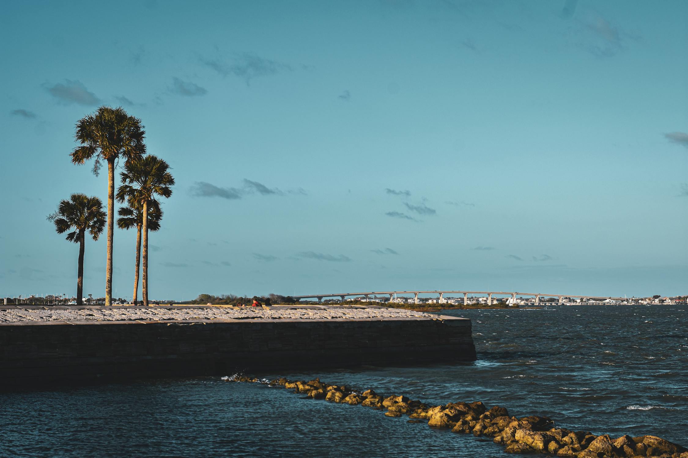 free photo of view of palm trees on the shore and the bridge of lions in st augustine florida usa