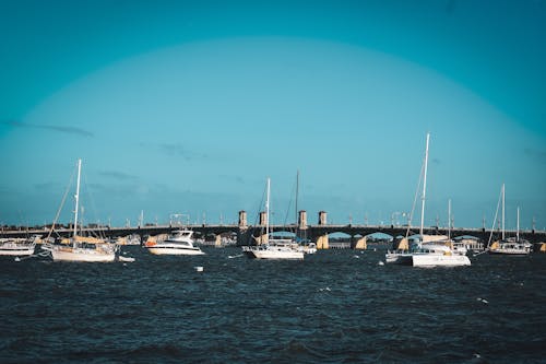 Yachts on Sea Coast with Bridge behind