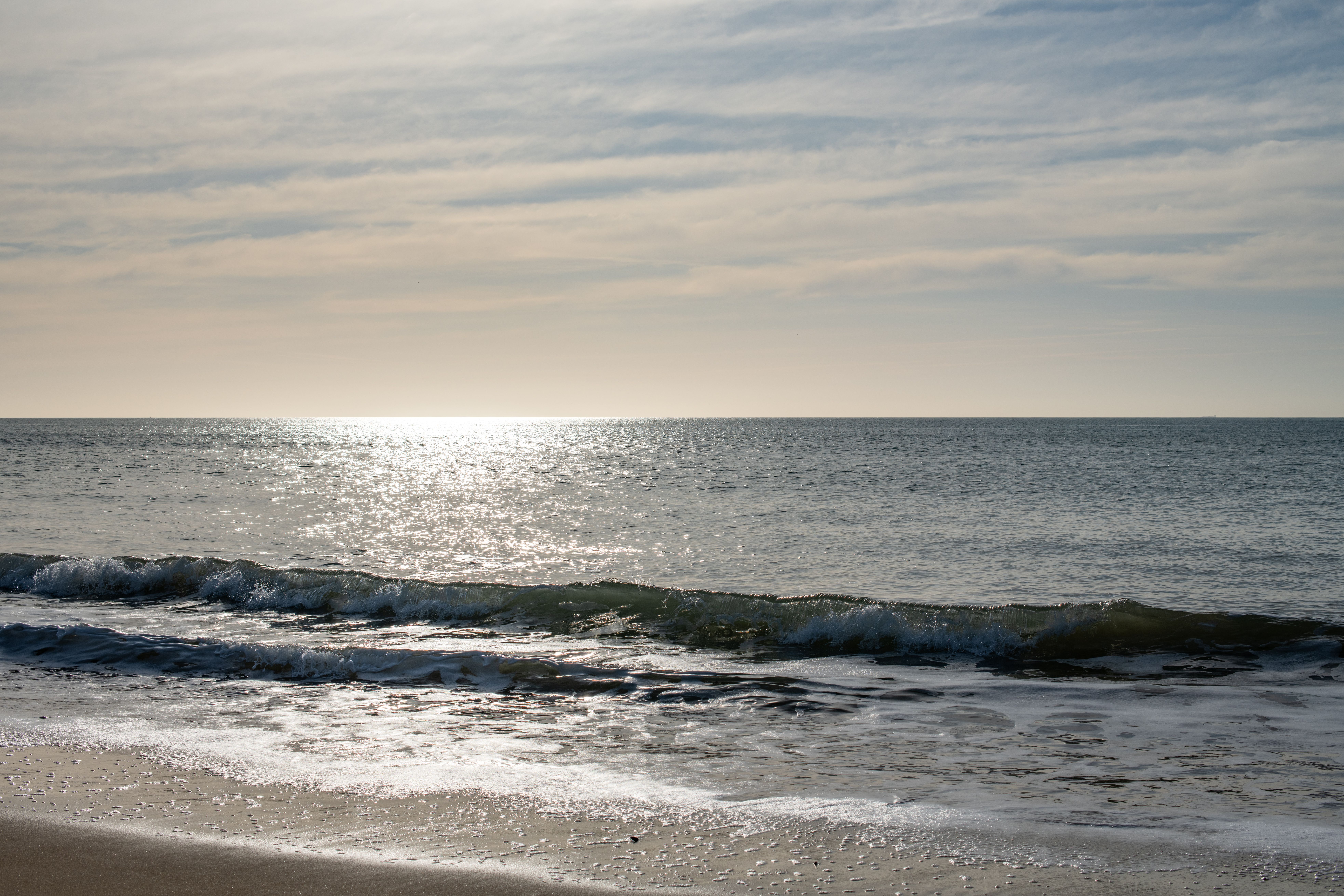 Top Virginia Beach, VA Holiday Giveaways With No Purchase Necessary: Safe Entry Guide