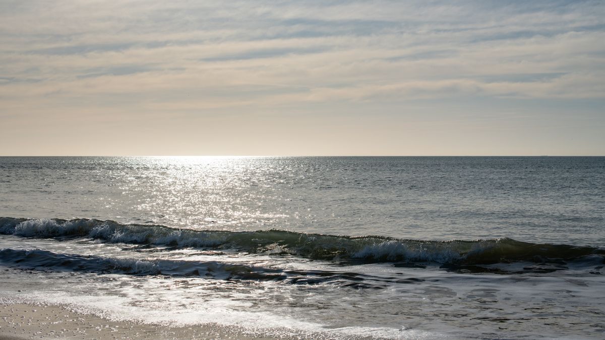 Top Virginia Beach, VA Holiday Giveaways With No Purchase Necessary: Safe Entry Guide