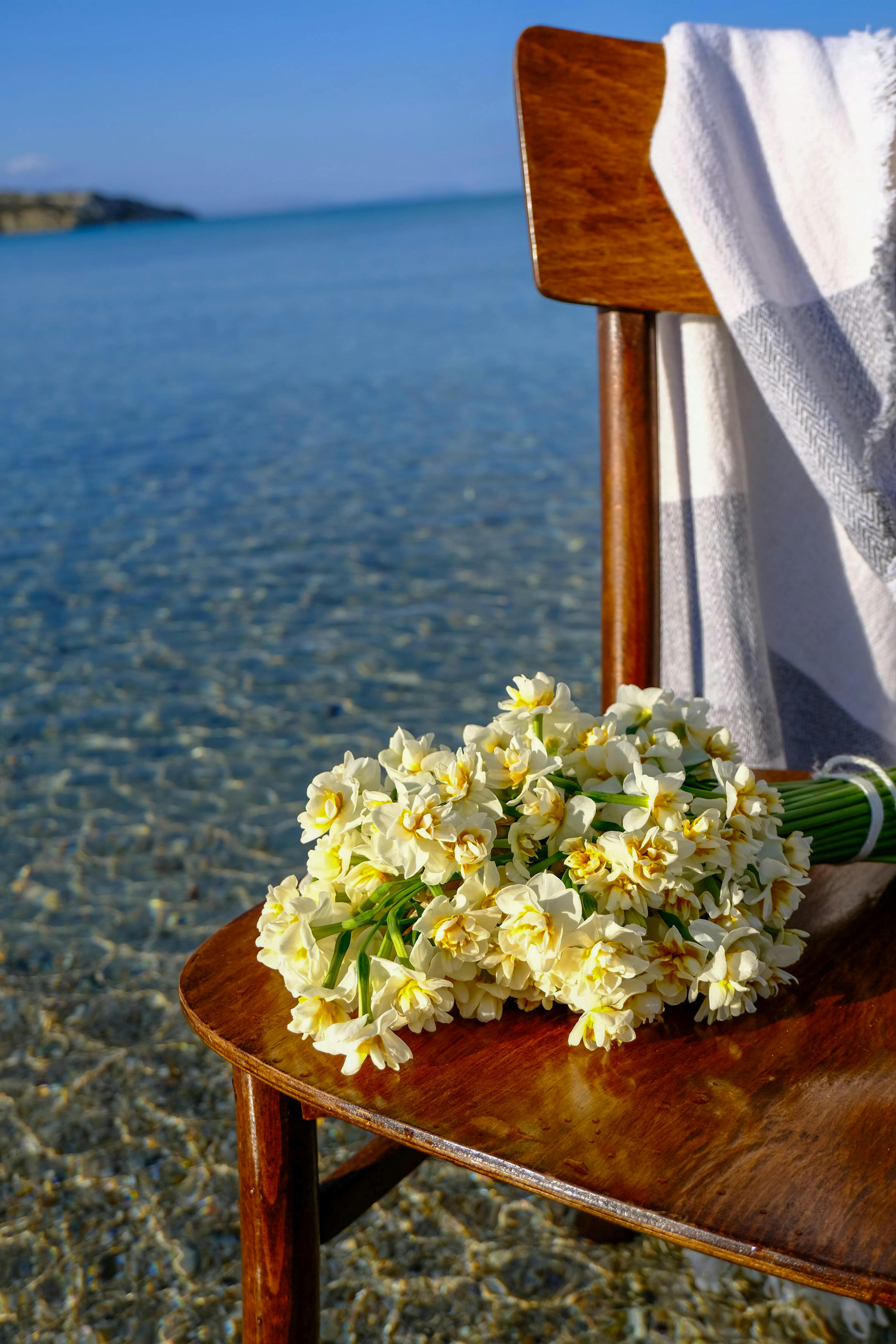 A serene arrangement of flowers on a wooden chair by the waterfront, capturing tranquility.