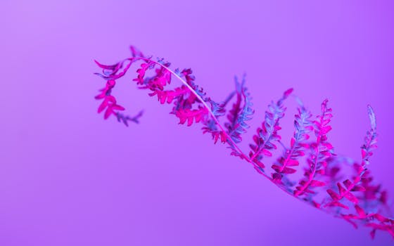Abstract image of a pink fern against a purple backdrop for creative projects.