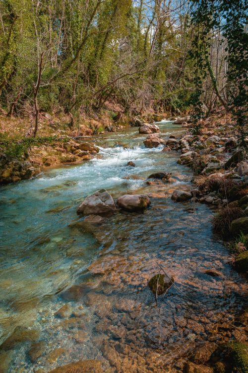 Free A tranquil stream flowing through a lush forest, surrounded by rocks and trees, ideal for nature wallpaper. Stock Photo