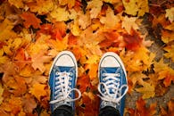 一双蓝色运动鞋立于秋日绚烂的枫叶之上，捕捉着秋天的神韵