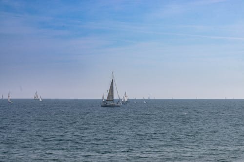 Sailboats Sailing on Open Water