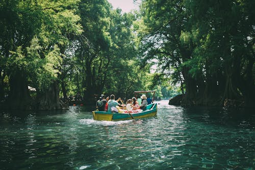 People in Boat Surrounded by Trees