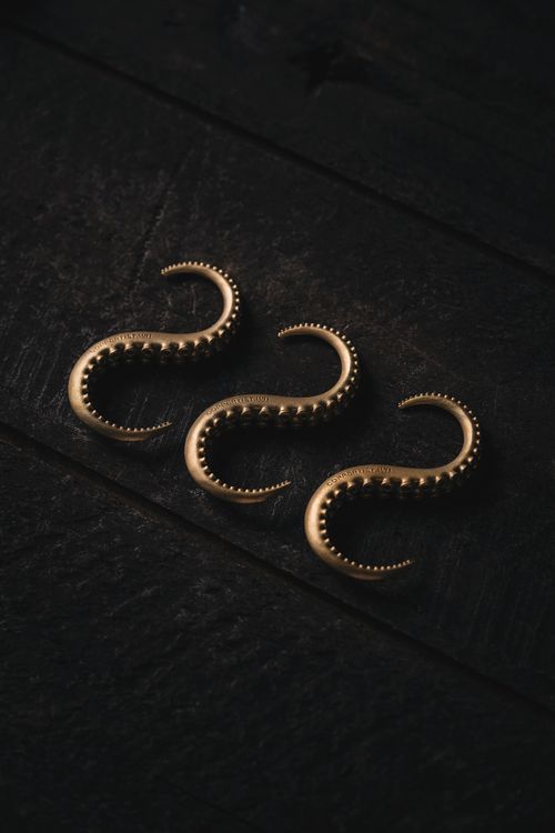 Free Stylish gold earrings in a unique octopus tentacle design on a dark wooden background. Stock Photo