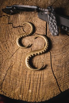 Close-up of vintage brass hooks resembling octopus tentacles on a wooden background.